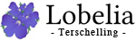 Lobelia Terschelling